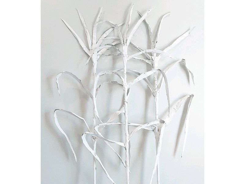 sugarcane stalk, sculpture, fine art, interior design