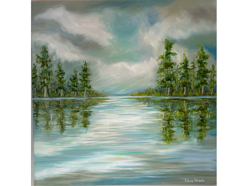 Cypress Reflections 2